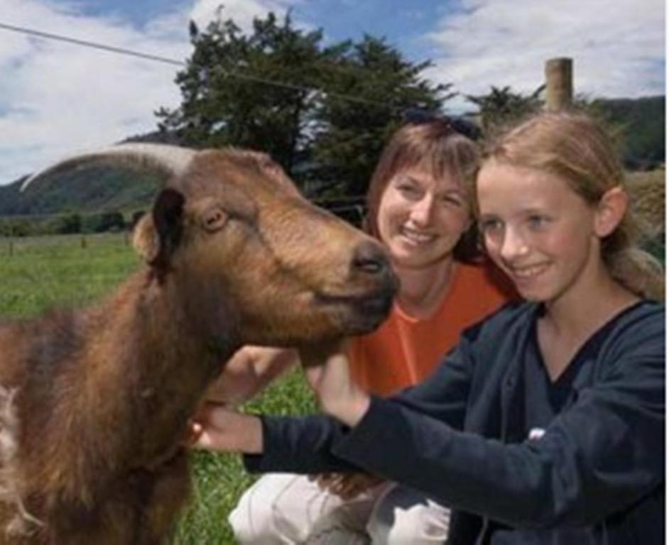 Smiths Farm Holiday Park Linkwater Exteriör bild